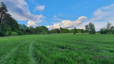 Działki rolne pod lasem na raty - Pobądz   -
Zachodniopomorskie Zdjęcie nr 8