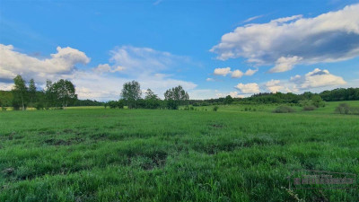 Działki rolne pod lasem na raty - Pobądz   -
Zachodniopomorskie Zdjęcie nr 9