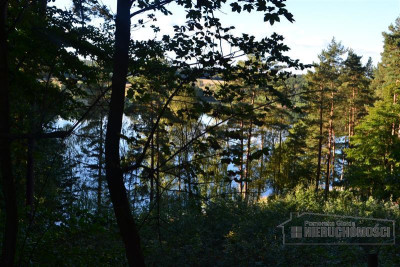 Działka częściowo zalesiona i pod lasem idealna po - Okole   -
Zachodniopomorskie Zdjęcie nr 11