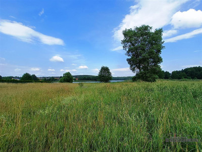 Szczecinek - duża działka budowlana nad jeziorem - Szczecinek   -
Zachodniopomorskie Zdjęcie nr 6
