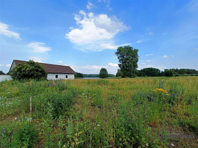 Szczecinek - duża działka budowlana nad jeziorem - Szczecinek   -
Zachodniopomorskie Zdjęcie nr 8