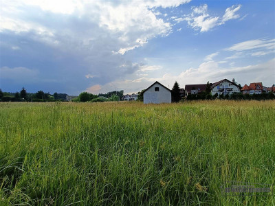 Szczecinek - duża działka budowlana nad jeziorem - Szczecinek   -
Zachodniopomorskie Zdjęcie nr 9