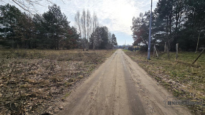 Działka budowlana w pobliżu jeziora Pile - Piława   -
Zachodniopomorskie Zdjęcie nr 8