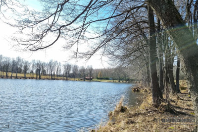 Brzeźno - działki przy jeziorach i lesie - Brzeźno   -
Zachodniopomorskie Zdjęcie nr 10