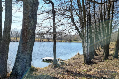 Brzeźno - działki przy jeziorach i lesie - Brzeźno   -
Zachodniopomorskie Zdjęcie nr 11