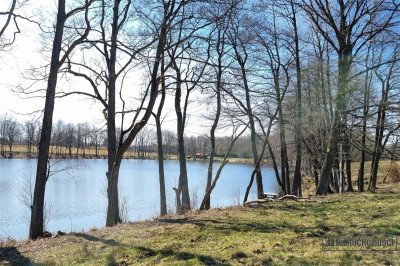 Brzeźno - działki przy jeziorach i lesie - Brzeźno   -
Zachodniopomorskie Zdjęcie nr 13