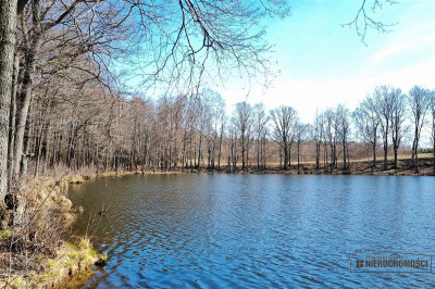 Brzeźno - działki przy jeziorach i lesie - Brzeźno   -
Zachodniopomorskie Zdjęcie nr 9