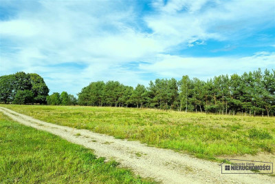 Działki rekreacyjne w okolicy jeziora Dołgie - Dołgie   -
Zachodniopomorskie Zdjęcie nr 5