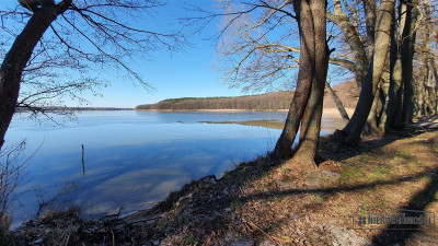 Działka z lasem nad samym Jeziorem Pile - Krągi   -
Zachodniopomorskie Zdjęcie nr 12