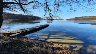 Działka z lasem nad samym Jeziorem Pile - Krągi   -
Zachodniopomorskie Zdjęcie nr 13