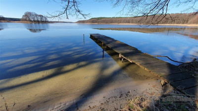 Działka z lasem nad samym Jeziorem Pile - Krągi   -
Zachodniopomorskie Zdjęcie nr 14