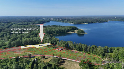 Działka z lasem nad samym Jeziorem Pile - Krągi   -
Zachodniopomorskie Zdjęcie nr 3