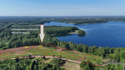 Działka z lasem nad samym Jeziorem Pile - Krągi   -
Zachodniopomorskie Zdjęcie nr 4