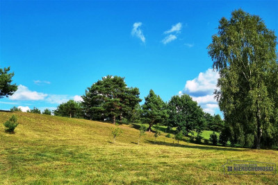 UNIKAT - działka budowlana z linią brzegową - Dołgie   -
Zachodniopomorskie Zdjęcie nr 13