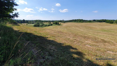 Już za 40600 zł na raty - działka w krainie jezio - Borne   -
Zachodniopomorskie Zdjęcie nr 14