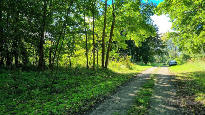 Działka budowlana w Sulikowiemedia dobry dojazd - Sulikowo  -
Zachodniopomorskie Zdjęcie nr 11