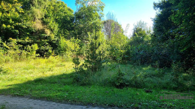 Działka budowlana w Sulikowiemedia dobry dojazd - Sulikowo  -
Zachodniopomorskie Zdjęcie nr 13