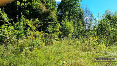 Działka budowlana w Sulikowiemedia dobry dojazd - Sulikowo  -
Zachodniopomorskie Zdjęcie nr 14