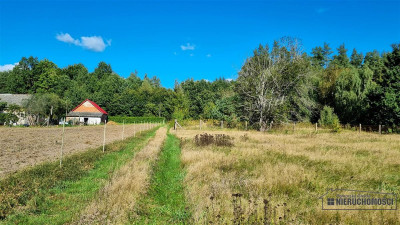 Działka budowlana na skraju wsi przy asfalcie - Nosibądy  -
Zachodniopomorskie Zdjęcie nr 11