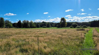 Działka budowlana na skraju wsi przy asfalcie - Nosibądy  -
Zachodniopomorskie Zdjęcie nr 12