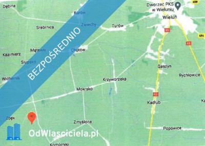 Działka ze złożami surowca ilastego -    -
łódzkie Zdjęcie nr 2