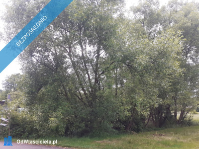 Działka budowlana  -    -
śląskie Zdjęcie nr 2