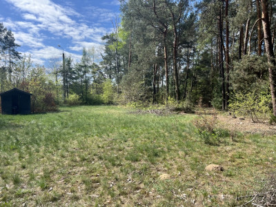Działka rekreacyjna 1900 m2 Cyganówka WILGA -    -
mazowieckie Zdjęcie nr 2
