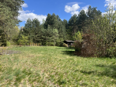 Działka rekreacyjna 1900 m2 Cyganówka WILGA -    -
mazowieckie Zdjęcie nr 6