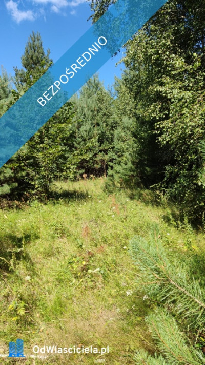 Urokliwa działka siedliskowa -    - mazowieckie