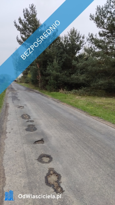 Urokliwa działka siedliskowa -    -
mazowieckie Zdjęcie nr 4