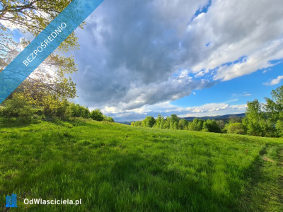 Widokowa Inwestycyjna działka 6km od KARPACZA-zalew SosnówkaLAKE HILL -    -
dolnośląskie Zdjęcie nr 8