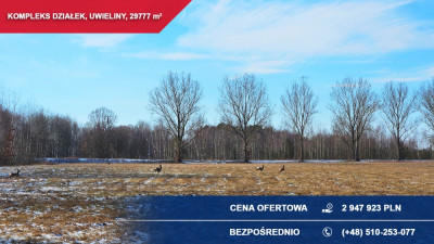 Kompleks 21 działek budowlanych 3ha Uwieliny gm Prażmów z MPZP Pod osiedle - Uwieliny  -
mazowieckie Zdjęcie nr 8