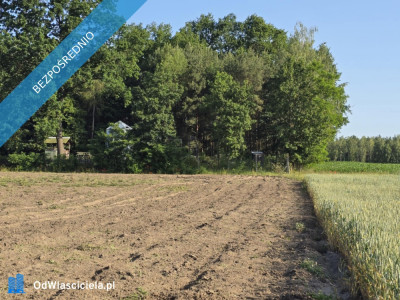 Działka budowlana na sprzedaż  Mazowieckie -    -
mazowieckie Zdjęcie nr 4