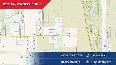 Sprzedam 1000 m2 Piskórka gm Prażmów BUDOWLANA -    - mazowieckie