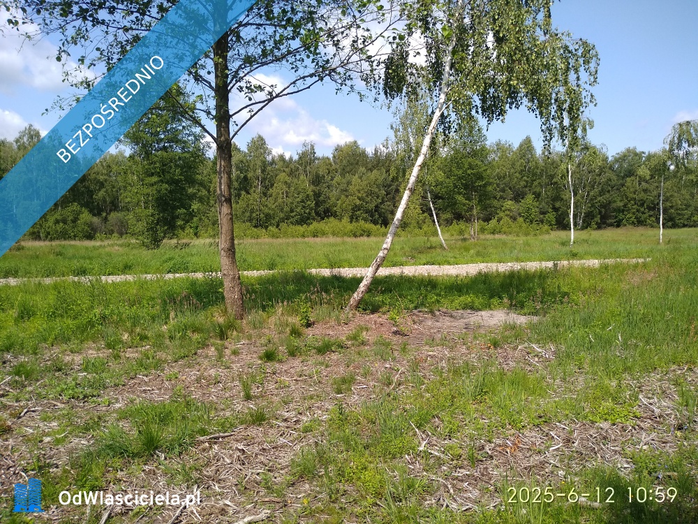 Działka przy parku krajobrazowym -    -
mazowieckie Zdjęcie nr 1