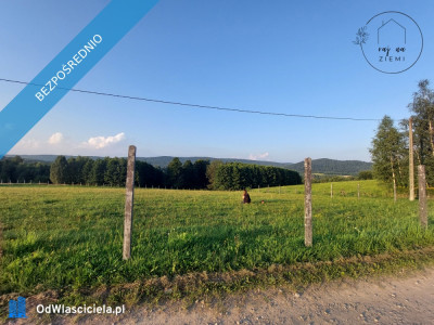 Widokowe działki inwestycyjne  budowlane na malowniczym Pogórzu Strzyżowskim - Huta Gogołowska  -
podkarpackie Zdjęcie nr 6