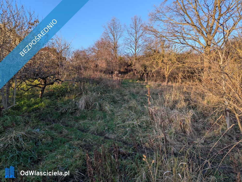 Dzialka - Gdańsk  -
pomorskie Zdjęcie nr 1