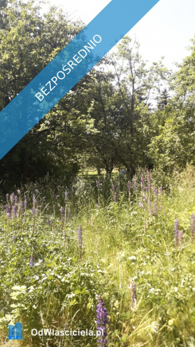 Gałków Mały działka na sprzedaż budowlana 1574 m aktualne WZ - Gałków Mały  -
łódzkie Zdjęcie nr 5