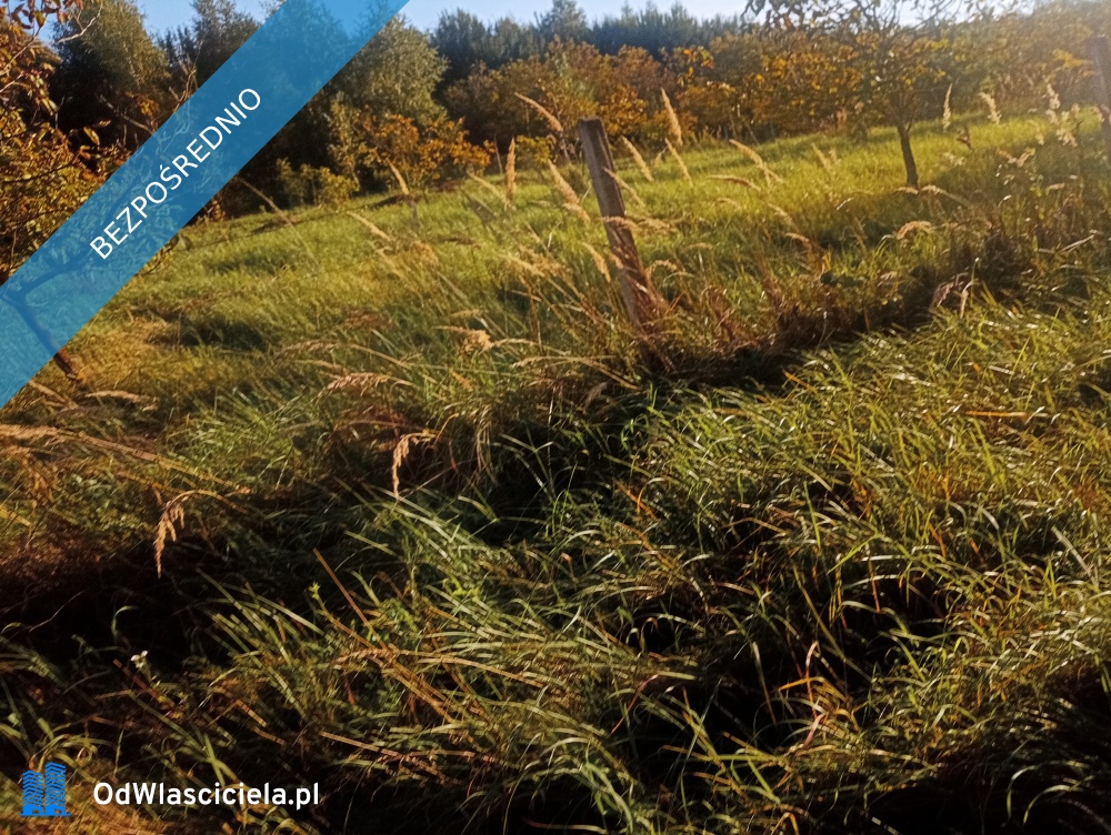 Wyjątkowa działka w sercu natury  Albigowa 77 arów ciszy i przestrzeni - Albigowa  -
podkarpackie Zdjęcie nr 1