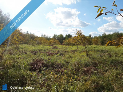 Wyjątkowa działka w sercu natury  Albigowa 77 arów ciszy i przestrzeni - Albigowa  -
podkarpackie Zdjęcie nr 3