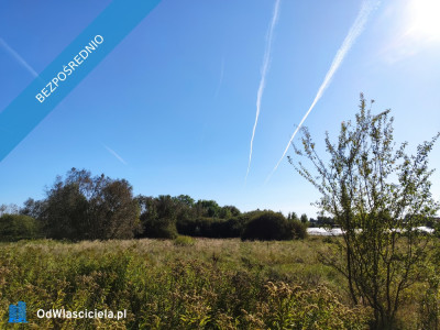 Działka budowlana z warunkami zabudowy 1330m Linów 18301 - Linów  -
świętokrzyskie Zdjęcie nr 5