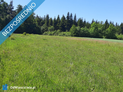 SPRZEDAM DZIAŁKĘ - Podmielowiec  - świętokrzyskie