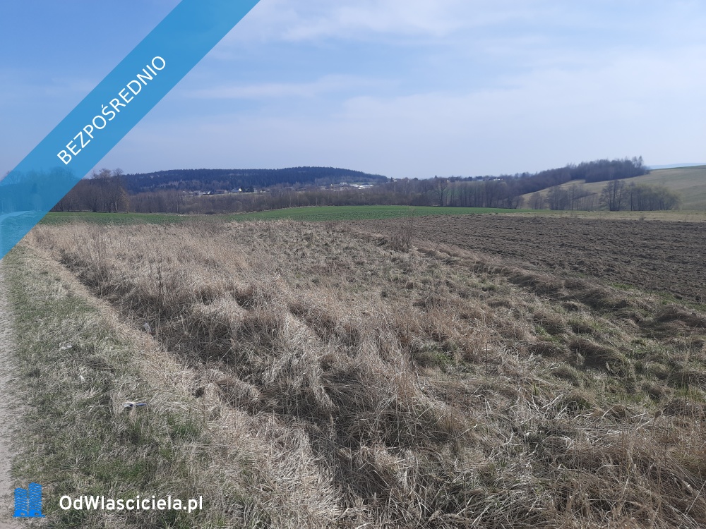 SPRZEDAM DZIAŁKĘ ROLNO-BUDOWLANĄ - Podmielowiec  -
świętokrzyskie Zdjęcie nr 1