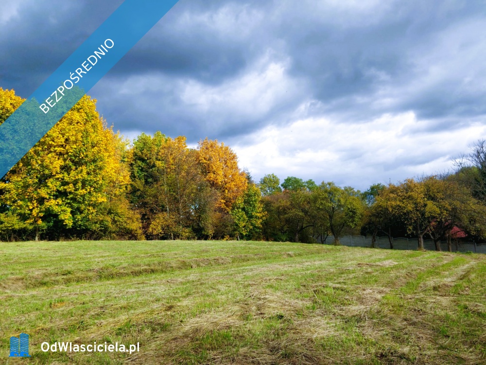Działka budowlana w Boguchwale 185 ara - Dół  -
podkarpackie Zdjęcie nr 1
