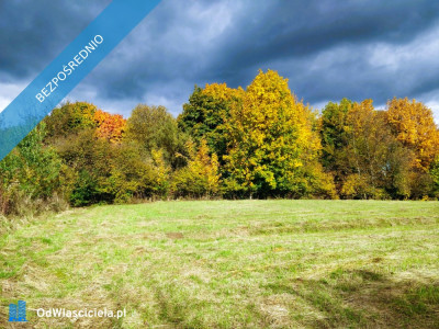 Działka budowlana w Boguchwale 185 ara - Dół  -
podkarpackie Zdjęcie nr 4