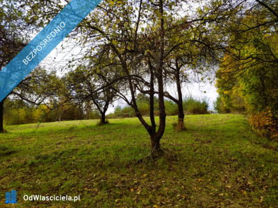 Działka budowlana w Boguchwale 185 ara - Dół  -
podkarpackie Zdjęcie nr 8