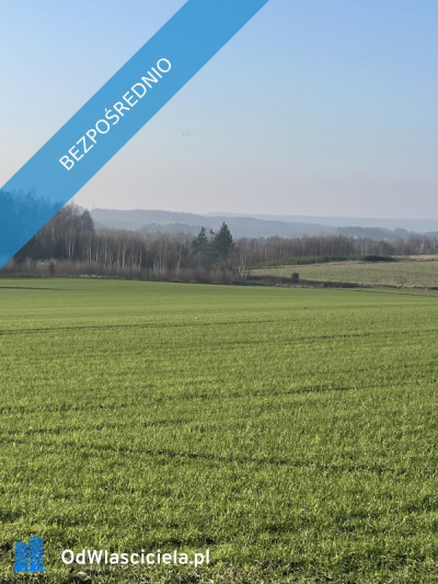 Działka siedliskowabudowlana - Sopieszyno  -
pomorskie Zdjęcie nr 2