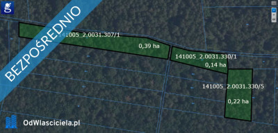 Las działka leśna 075ha sosna 80 lat Terlików - Terlików  - mazowieckie