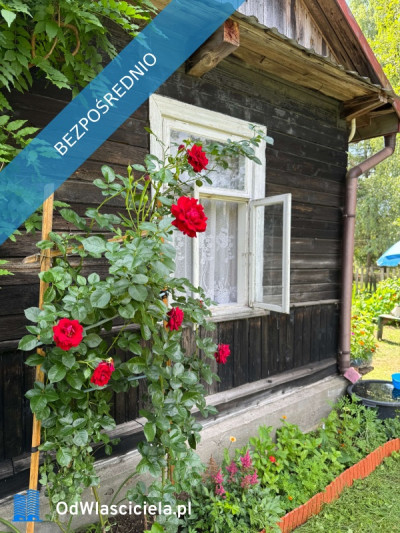 Siedlisko nad rzeką w wyjątkowej części Podlasia - Lewkowo Stare  - podlaskie