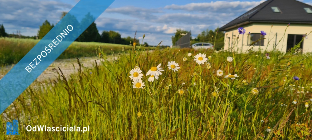 DZIAŁKA NA GRANICY ŁODZI Z POZWOLENIEM NA BUDOWĘ - Leśne Odpadki  -
łódzkie Zdjęcie nr 1